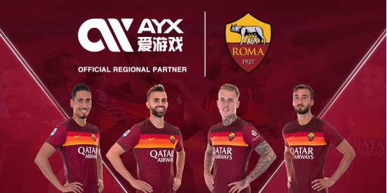 球迷與專業